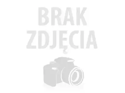 Opona oerowa 20 x 2.125 AWINA OAR2008